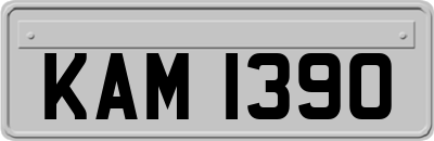 KAM1390