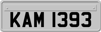 KAM1393