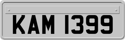 KAM1399
