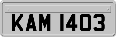 KAM1403
