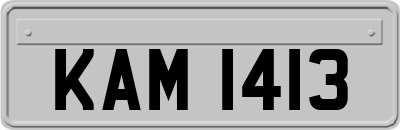 KAM1413