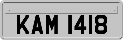 KAM1418
