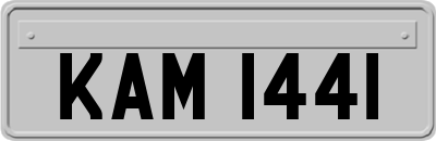 KAM1441