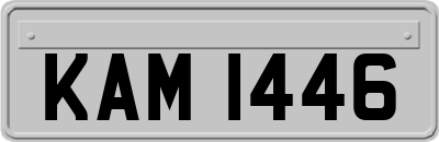 KAM1446