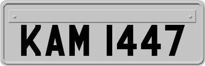 KAM1447