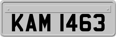 KAM1463