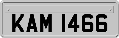 KAM1466