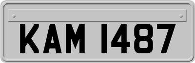 KAM1487