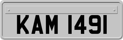 KAM1491