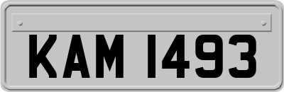 KAM1493