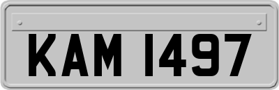KAM1497