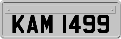 KAM1499
