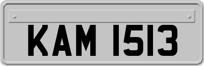 KAM1513