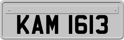 KAM1613
