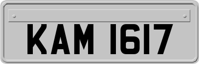 KAM1617