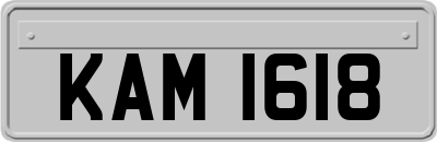 KAM1618