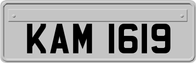 KAM1619