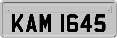 KAM1645