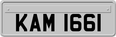 KAM1661