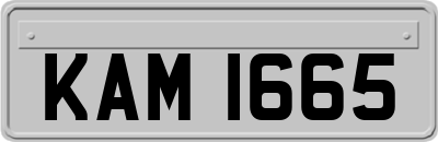 KAM1665