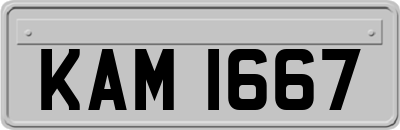 KAM1667