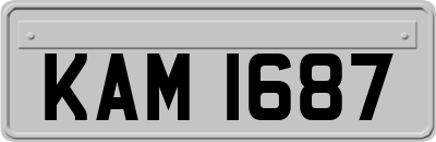 KAM1687