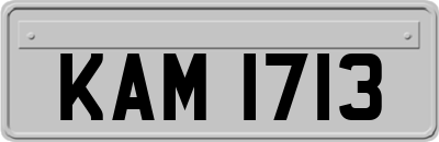 KAM1713