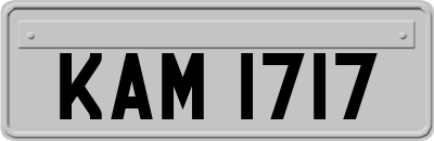 KAM1717