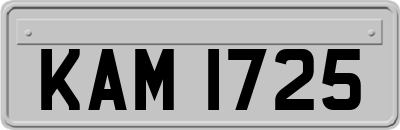 KAM1725