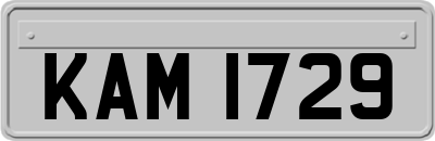 KAM1729