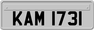 KAM1731