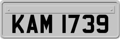 KAM1739