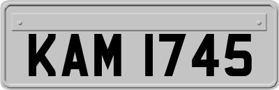 KAM1745