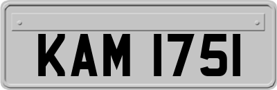 KAM1751
