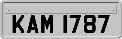 KAM1787