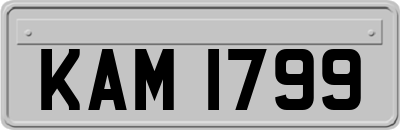 KAM1799