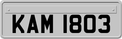 KAM1803