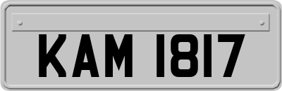 KAM1817