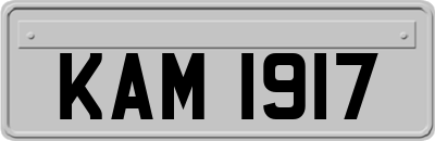 KAM1917