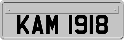 KAM1918