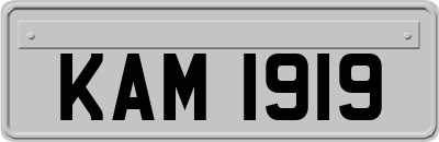 KAM1919