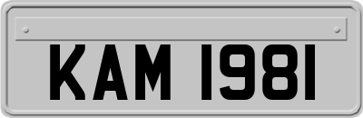 KAM1981
