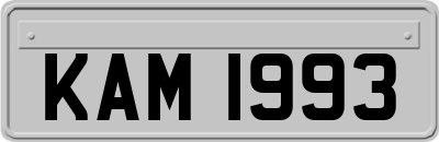 KAM1993