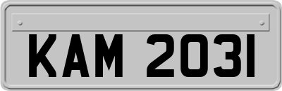 KAM2031