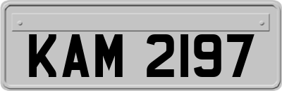 KAM2197
