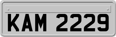 KAM2229