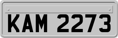 KAM2273