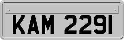 KAM2291