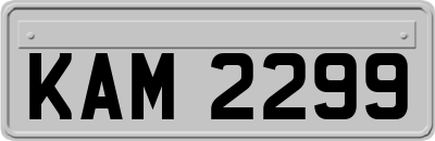 KAM2299