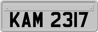 KAM2317